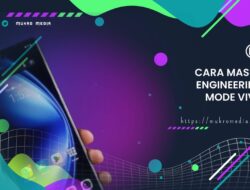 3 Cara Masuk Engineering Mode Vivo Paling Mudah