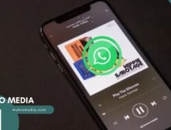 WhatsApp Uji Coba Fitur Baru: Bagikan Lagu Spotify ke Status