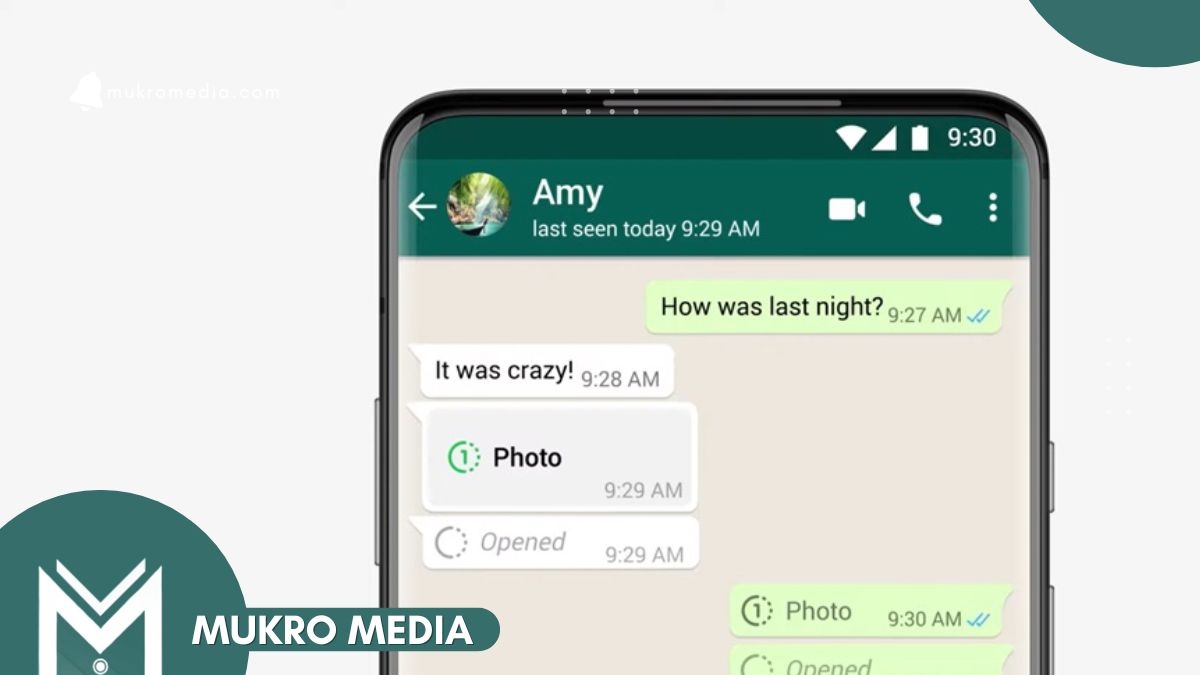 Cara Melihat Kembali View Once di Whatsapp