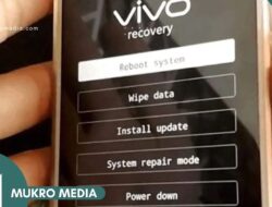 Cara Menginstal Ulang HP Vivo Tanpa Kehilangan Data: Panduan Lengkap Anti Ribet 6 Cara Menginstal Ulang HP Vivo Tanpa Kehilangan Data: Panduan Lengkap Anti Ribet