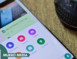 Cara Mengirim Foto HD di WhatsApp Secara Default