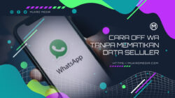 Cara Off WA Tanpa Mematikan Data Seluler