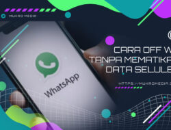 3 Cara Off WA Tanpa Mematikan Data Seluler di Samsung dan iPhone