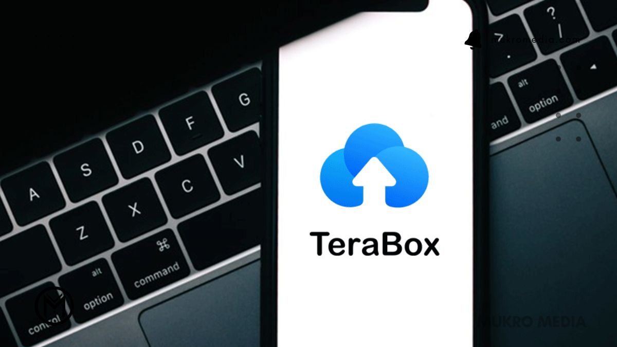 Cara Berhenti Langganan Terabox